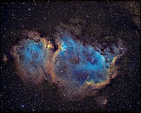 IC1848_2014.jpg